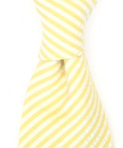 alexander-olch-ss-2009-english-seersucker-cotton-tie-2