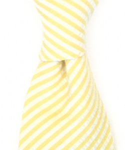 alexander-olch-ss-2009-english-seersucker-cotton-tie-2