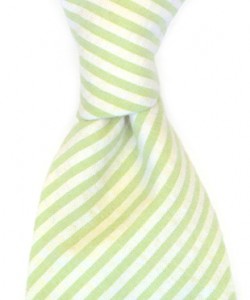 alexander-olch-ss-2009-english-seersucker-cotton-tie-3